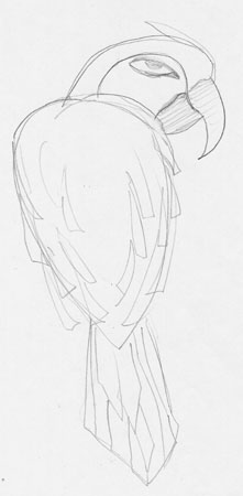 chirpella1