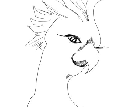 cockatoo2