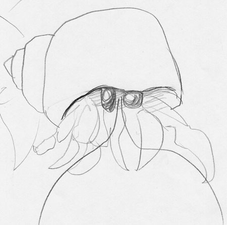 crab8