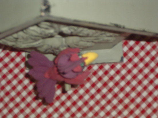chirp top