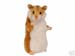 hansa_hamster