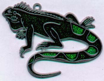 035-8-1477-Iguana%20Ou0003