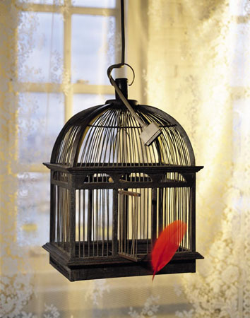 birdcage