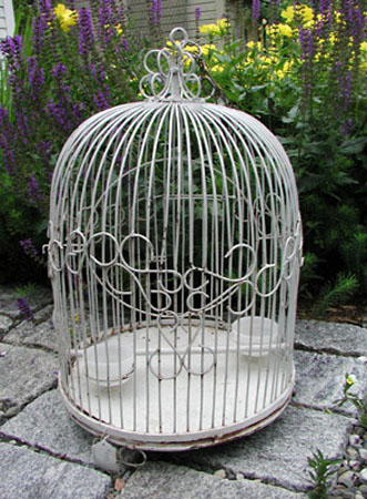 birdcage2