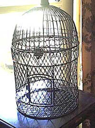 birdcage5