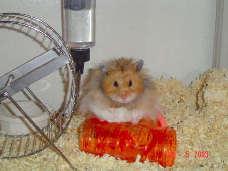 ernie-on-tube