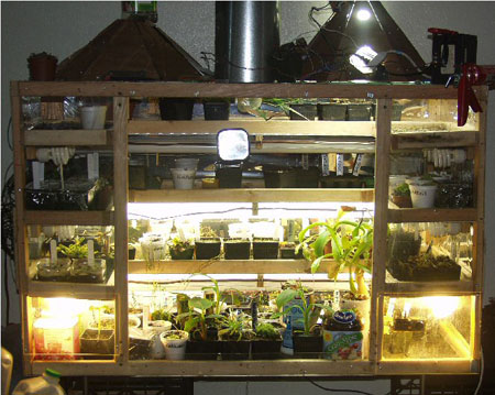 terrarium4