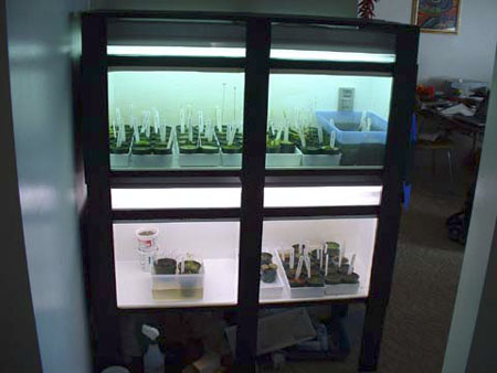 terrarium7