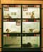 petshop-02