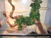 terrarium2