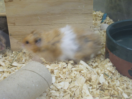 DSCF0543