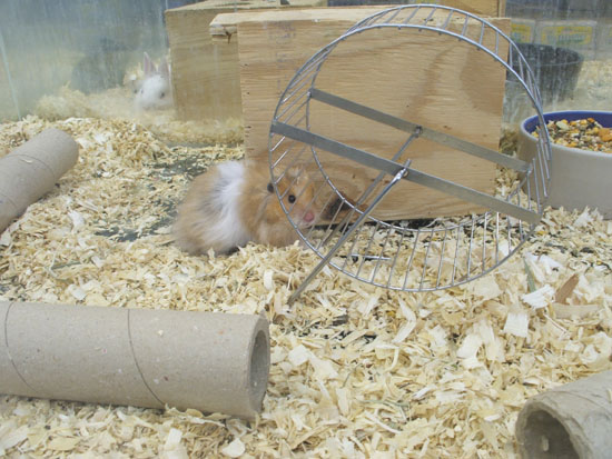 DSCF0547