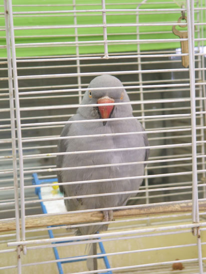 DSCF0556
