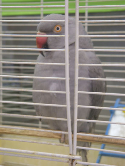 DSCF0557
