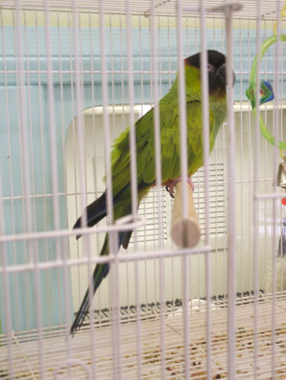 DSCF0558