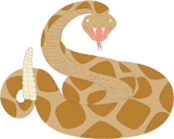 rattlesnake